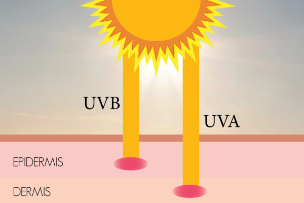 uv rays